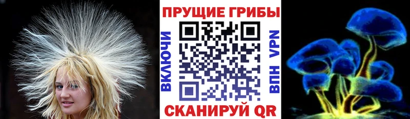 ссылка на мегу онион  Цоци-Юрт  Галлюциногенные грибы Cubensis 